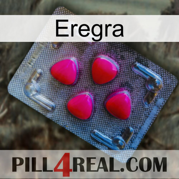 Eregra 13